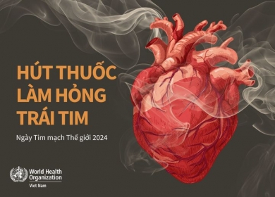 HÚT THUỐC LÁ LÀM HỎNG TRÁI TIM